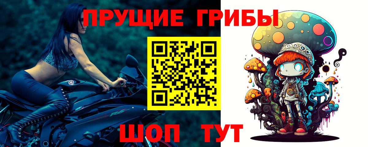 Псилоцибиновые грибы мухоморы  Псилоцибиновые грибы прущие грибы  Вход с VPN  Ижевск 