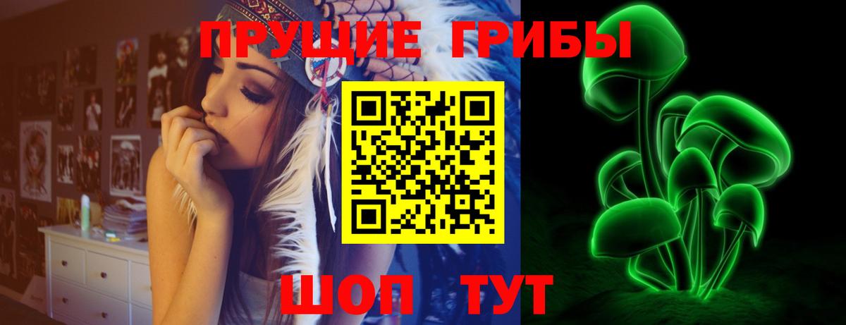 Псилоцибиновые грибы Magic Shrooms Ижевск